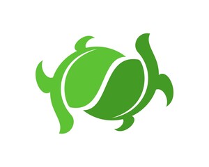 Twin nature turtle and leaf