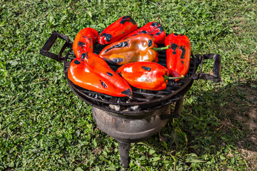 Fresh red pepper on the grilling Pan, with gras in background, in the backyard - 362498011