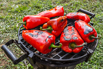 Close-up of roasted fresh red pepper on the grilling Pan, with gras in background, in the backyard - 362498018