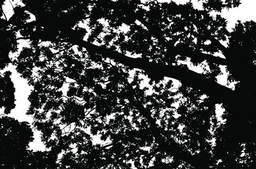Tree leaves. Forest nature backdrop.Grunge texture. Grunge black and white vector overlay. Grungy grainy surface.
