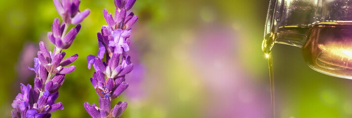 lavendelöl aus lavendelblüten