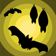 月あかりとコウモリ