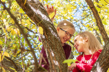 sisters play on a tree