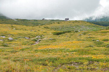 高原