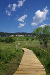 Passerelle en bois platelage caillebotis pour randonnée marcher dans la nature en zone sensible de marécage