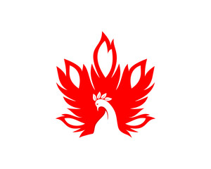 Abstract fire peacock