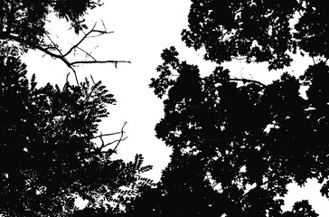 Tree leaves. Forest nature backdrop.Grunge texture. Grunge black and white vector overlay. Grungy grainy surface.