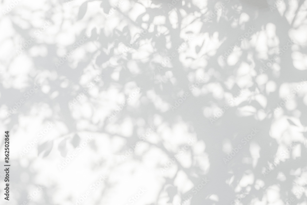 Aufkleber leaf shadow and tree branch on wall. nature leaves tree branch dark shadow and light from sunlight d