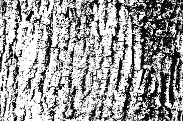 Wooden texture. Tree wood material.Grunge texture. Grunge black and white vector overlay. Grungy grainy surface.