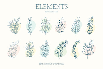 Vector set of nerd elements with circles of different colors on an isolated background. Tropical plants, leaves and branches with flowers. Hand drawn style. For printing on fabric and clothing,