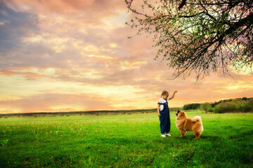 happy little girl with pigtails in denim overalls plays 
on the street with a big chubby dog. The concept of 
love for animals. Take care of animals. Happy child.
Dog breed Chao Chao
