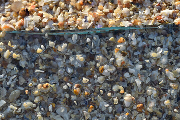 Macro image of sand grains on a sheet of glass