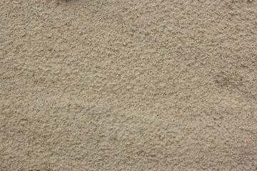 Fototapeta na wymiar Close-up of smooth sand at a beach texture background. Full frame shot of sand area on the beach. Top view of sandy beach. Background with copy space and visible sand texture.