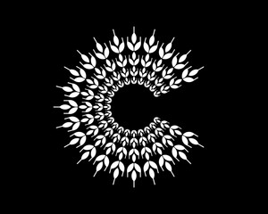 Fototapeta premium C Letter with circular wheat