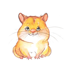cute little hamster painted by watercolor isolated on white