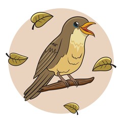 Nightingale Bird Cartoon Illustration