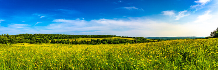 wild nature.Beautiful panorama of the summer field