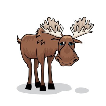 Moose Cartoon Cute Animals Illustration