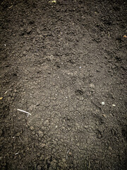 Black indian fertile soil on field top view