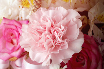 close up carnation flower in another flower background. pink cloves flowers . 