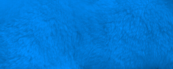 Blue fur background close up view. Banner