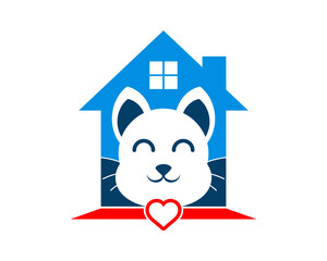 Clean house with a cat inside