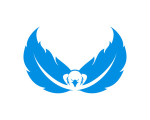 Obraz premium Two feather with eagle head in the middle