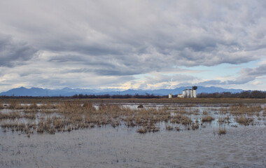 Wetland with views of the snowy mountains