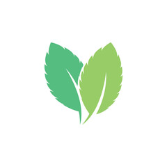 Mint leaves flat vector color icon © dar