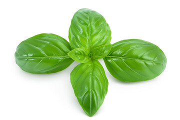 Fresh basil leaf isolated on white background with clipping path and full depth of field
