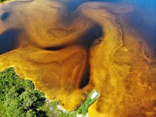 buddha statue in thailand