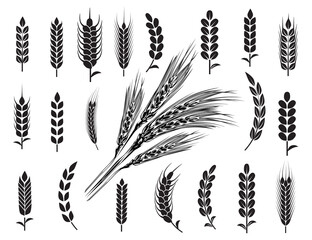 Wheat Ears Icons and Logo Set. For Identity Style of Natural Product Company and Farm Company. Organic wheat, bread agriculture and natural eat. Contour lines. Flat design.