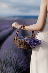 Close up woman hand with lavender in basket 