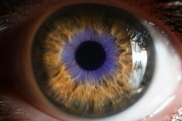 Cropped photo of beautiful macro photo of human eye, iris, pupil, eye lashes, eyelids