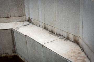 Obraz premium Dirty ceramic tile in swimming pool.