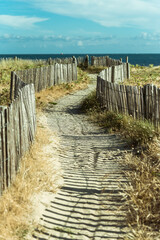 sandy path way with fence on the beach