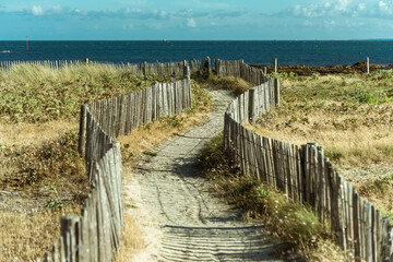 sandy path way with fence on the beach