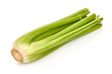 Fresh celery, isolated on white background