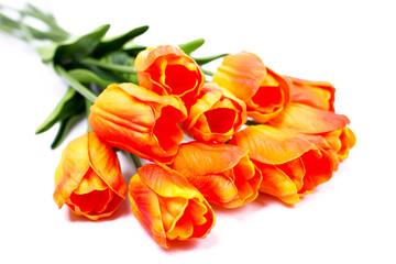 Bouquet of orange-red tulips on a white background