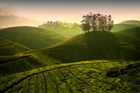 Picturesque mountains and streams of Munnar, Kerala, India are a holiday  destination, especially during summer Stock Photo - Alamy