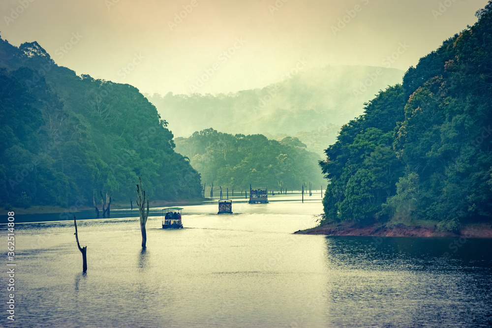 Wall mural a scenic view of tourists boats on lake at periyar national park