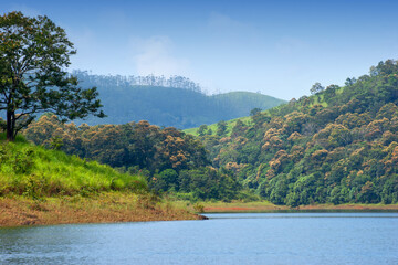 A picturesque view of tropical forest and lake inside Periyar na