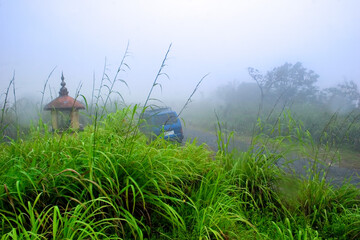 Landscape near Periyar, Kerala, India