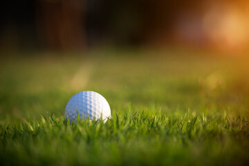 golf ball is on a green lawn in a beautiful golf course