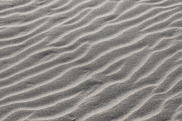 Fototapeta na wymiar sand texture in the beach