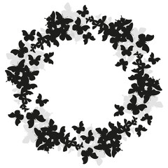 Colorful butterflies fly in a circle.