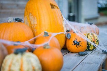 Halloween Kürbisse und Dekoration