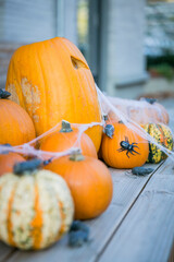 Halloween Kürbisse und Dekoration