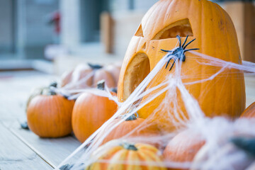 Halloween K&uuml;rbisse und Dekoration