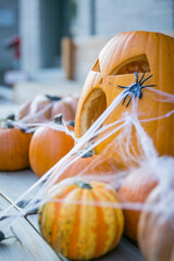 Halloween Kürbisse und Dekoration